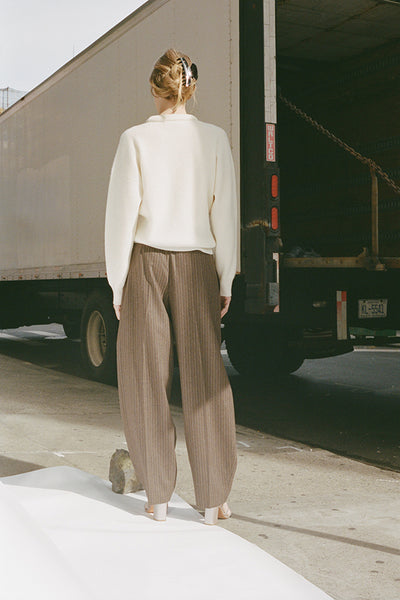 DOUBLE PLEATED WIDE PANTS, BROWN/BLUE PINSTRIPE